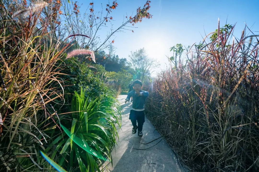 芒果乐园的邀请码_芒果乐园幼儿早教_芒果乐园家庭日常