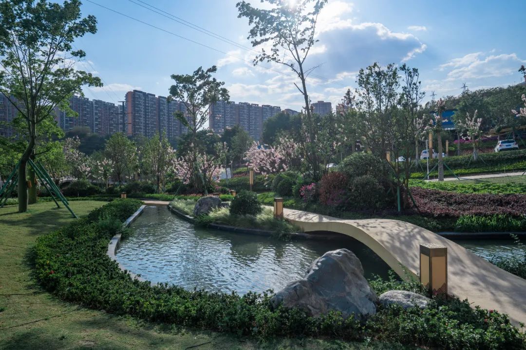 芒果乐园幼儿早教_芒果乐园的邀请码_芒果乐园家庭日常