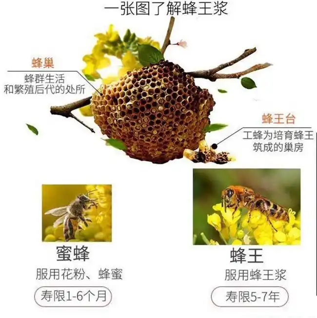 亚健康测试报告_亚健康检测仪器检查准确吗_亚健康症测试